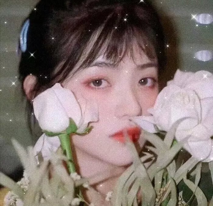 洪拳大师